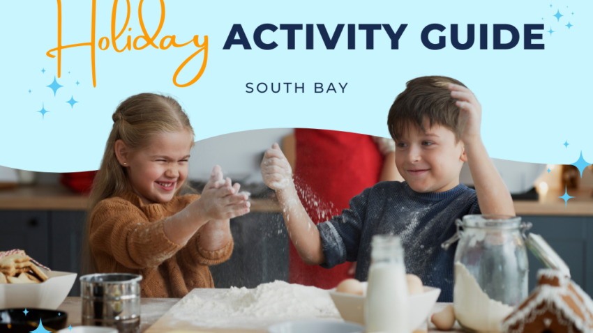 activity guide